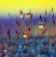 也是世界上著名的大型图书馆之一